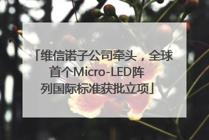 维信诺子公司牵头，全球首个Micro-LED阵列国际标准获批立项