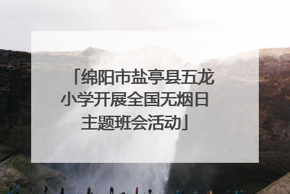 绵阳市盐亭县五龙小学开展全国无烟日主题班会活动