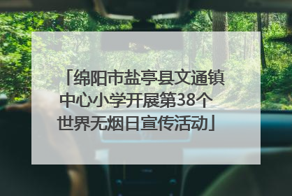 绵阳市盐亭县文通镇中心小学开展第38个世界无烟日宣传活动