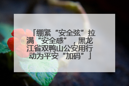 绷紧“安全弦”拉满“安全感”，黑龙江省双鸭山公安用行动为平安“加码”