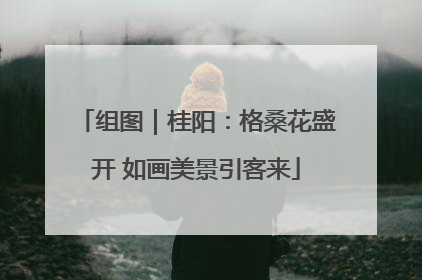 组图｜桂阳：格桑花盛开 如画美景引客来