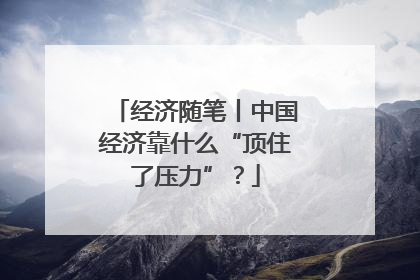 经济随笔丨中国经济靠什么“顶住了压力”？