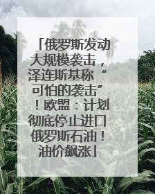俄罗斯发动大规模袭击，泽连斯基称“可怕的袭击”！欧盟：计划彻底停止进口俄罗斯石油！油价飙涨