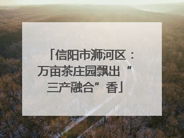 信阳市浉河区：万亩茶庄园飘出“三产融合”香