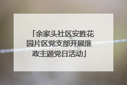 余家头社区安胜花园片区党支部开展廉政主题党日活动