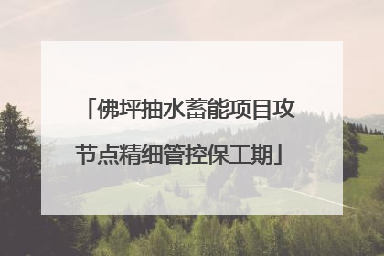 佛坪抽水蓄能项目攻节点精细管控保工期