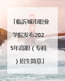 临沂城市职业学院发布2025年高职（专科）招生简章