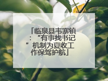 临泉县韦寨镇：“有事找书记”机制为夏收工作保驾护航