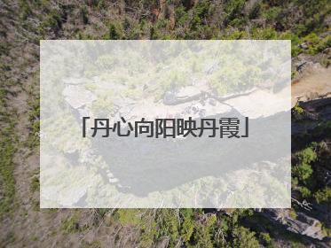 丹心向阳映丹霞