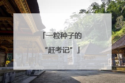 一粒种子的“赶考记”