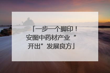 一步一个脚印！安图中药材产业“开出”发展良方