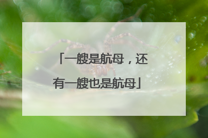 一艘是航母，还有一艘也是航母