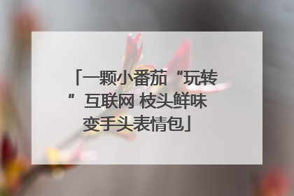 一颗小番茄“玩转”互联网 枝头鲜味变手头表情包