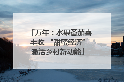 万年：水果番茄喜丰收 “甜蜜经济”激活乡村新动能