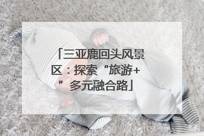 三亚鹿回头风景区：探索“旅游+”多元融合路
