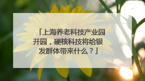 上海养老科技产业园开园，硬核科技将给银发群体带来什么？