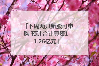 下周两只新股可申购 预计合计募资11.26亿元