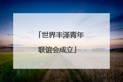 世界丰泽青年联谊会成立