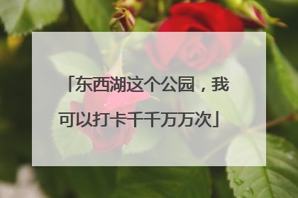 东西湖这个公园，我可以打卡千千万万次
