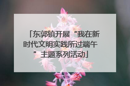东郭镇开展“我在新时代文明实践所过端午”主题系列活动