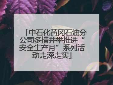 中石化黄冈石油分公司多措并举推进“安全生产月”系列活动走深走实