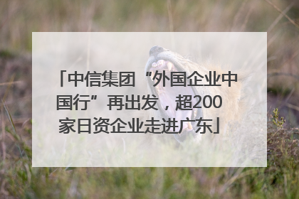 中信集团“外国企业中国行”再出发，超200家日资企业走进广东