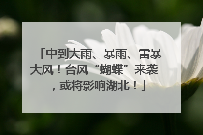 中到大雨、暴雨、雷暴大风！台风“蝴蝶”来袭，或将影响湖北！