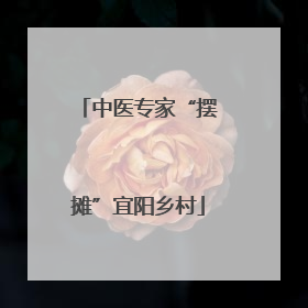 中医专家“摆摊”宜阳乡村