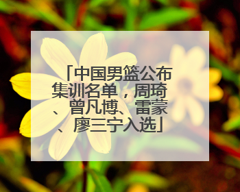 中国男篮公布集训名单，周琦、曾凡博、雷蒙、廖三宁入选
