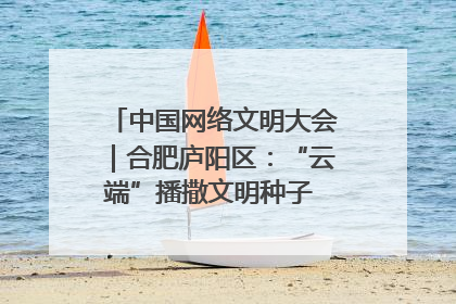 中国网络文明大会｜合肥庐阳区：“云端”播撒文明种子 共建清朗网络空间