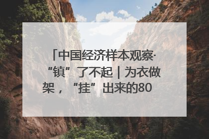 中国经济样本观察·“镇”了不起｜为衣做架，“挂”出来的80亿元“衣架产业”