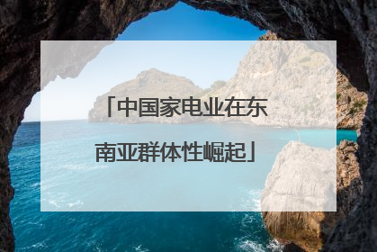 中国家电业在东南亚群体性崛起