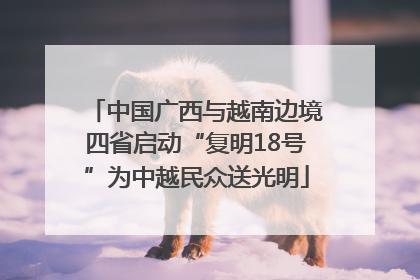 中国广西与越南边境四省启动“复明18号”为中越民众送光明