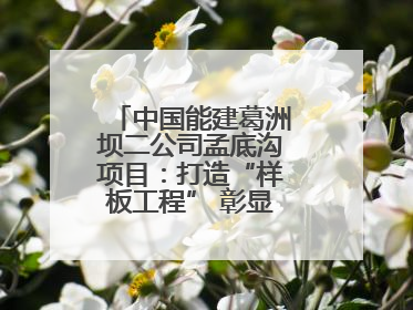 中国能建葛洲坝二公司孟底沟项目：打造“样板工程” 彰显“水电王牌”