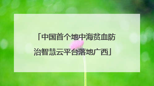 中国首个地中海贫血防治智慧云平台落地广西
