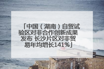 中国（湖南）自贸试验区对非合作创新成果发布 长沙片区对非贸易年均增长141%