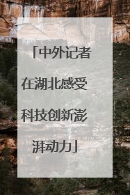 中外记者在湖北感受科技创新澎湃动力