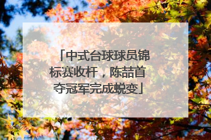 中式台球球员锦标赛收杆，陈喆首夺冠军完成蜕变
