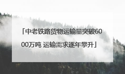 中老铁路货物运输量突破6000万吨 运输需求逐年攀升