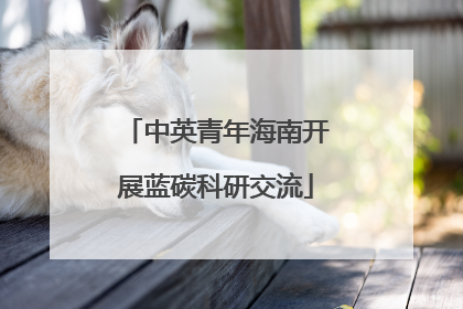 中英青年海南开展蓝碳科研交流