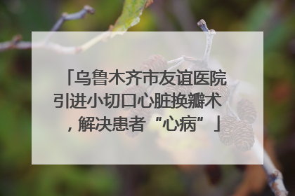 乌鲁木齐市友谊医院引进小切口心脏换瓣术，解决患者“心病”