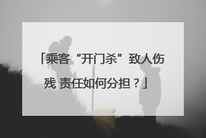 乘客“开门杀”致人伤残 责任如何分担？
