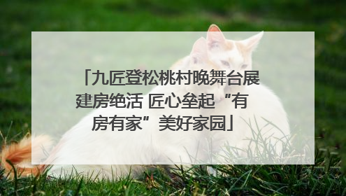 九匠登松桃村晚舞台展建房绝活 匠心垒起“有房有家”美好家园