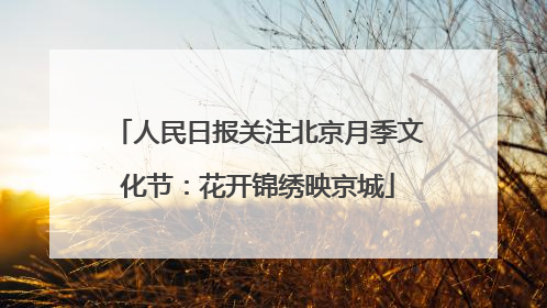 人民日报关注北京月季文化节：花开锦绣映京城