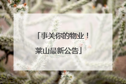 事关你的物业！莱山最新公告