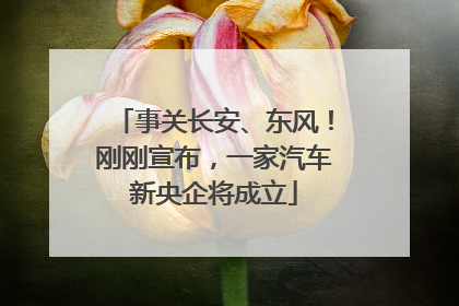 事关长安、东风！刚刚宣布，一家汽车新央企将成立