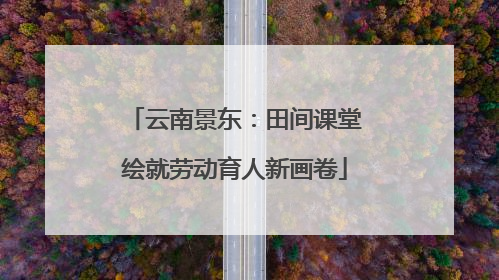云南景东：田间课堂绘就劳动育人新画卷