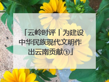 云岭时评丨为建设中华民族现代文明作出云南贡献①