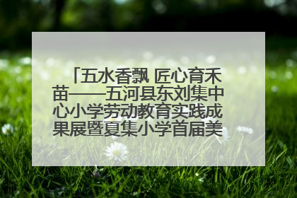 五水香飘 匠心育禾苗——五河县东刘集中心小学劳动教育实践成果展暨夏集小学首届美食节盛大举行