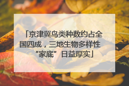 京津冀鸟类种数约占全国四成，三地生物多样性“家底”日益厚实